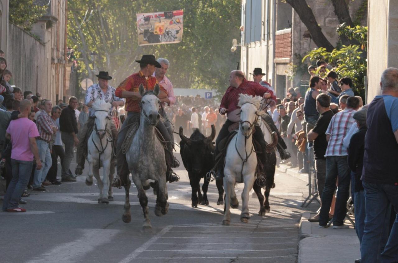 בובר Gite De Vacances En Camargue ☆☆Nn מראה חיצוני תמונה