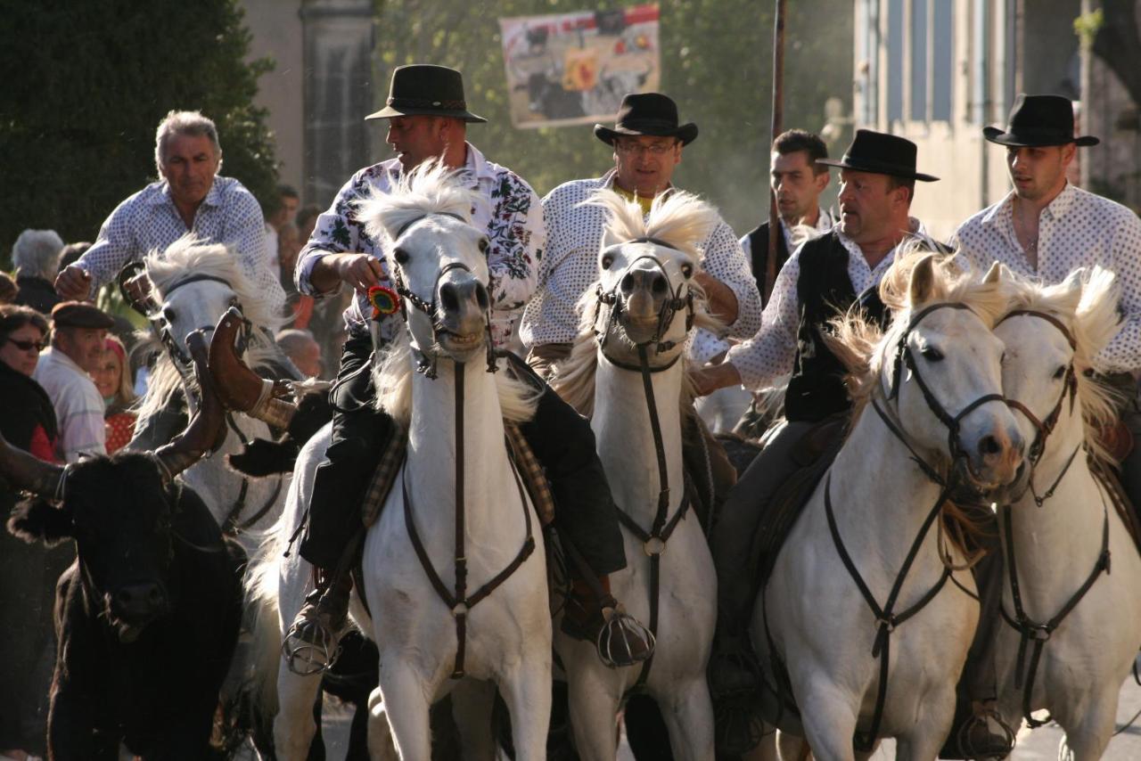 בובר Gite De Vacances En Camargue ☆☆Nn מראה חיצוני תמונה